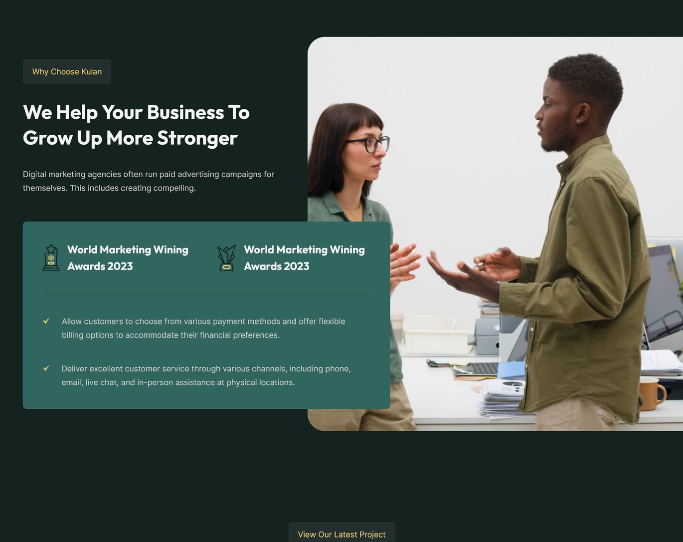 Kulan - Digital Marketing Agency WordPress Theme - Image 8